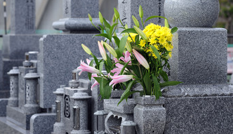 お墓の年間管理