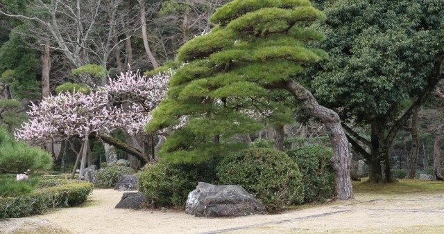 植木職人 庭師の給料 年収は 年収1000万稼げる求人もご紹介 庭革命