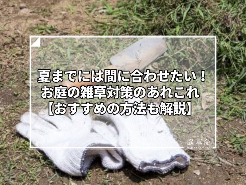 雑草対策