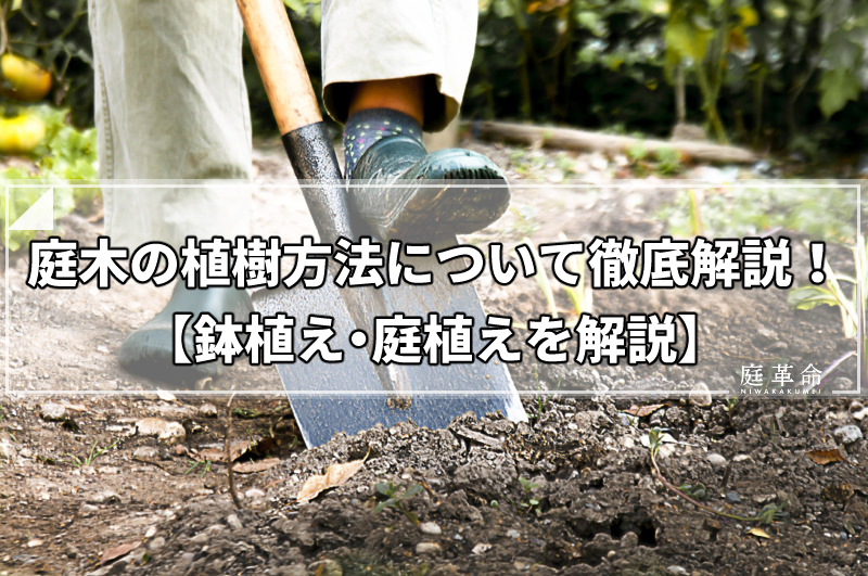 庭木の植樹方法について徹底解説 鉢植え 庭植えを解説 庭革命