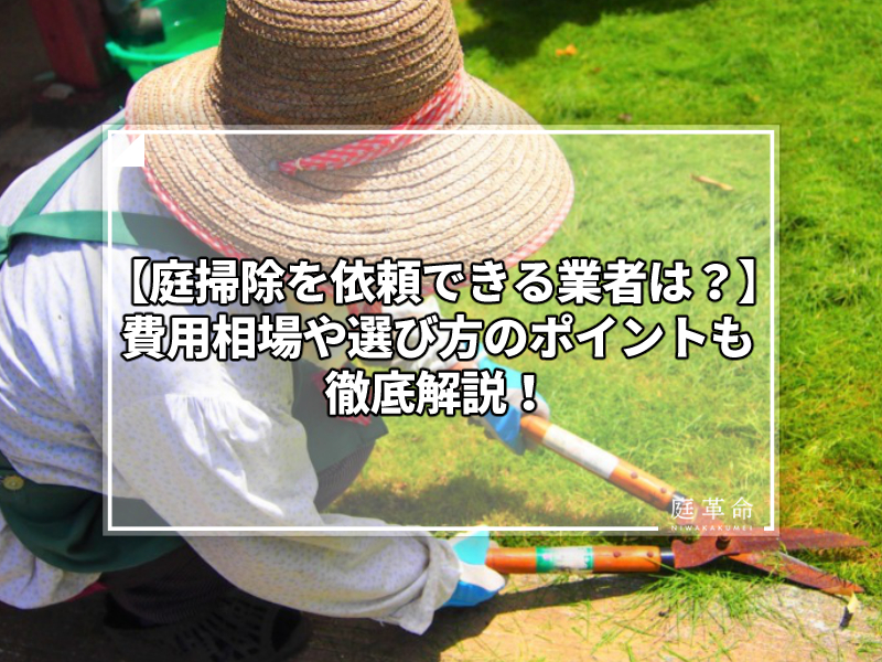 庭掃除を依頼できる業者は 費用相場や選び方のポイントも徹底解説 庭革命株式会社