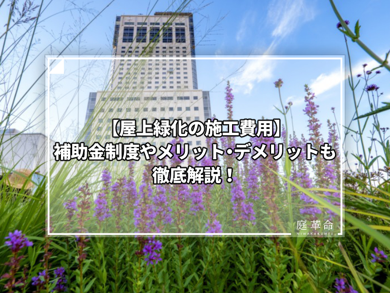 屋上