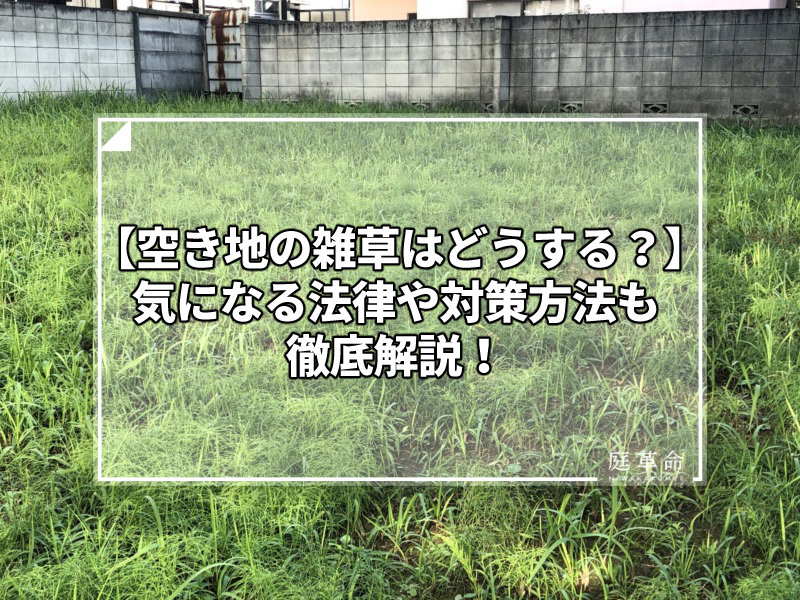 空地
