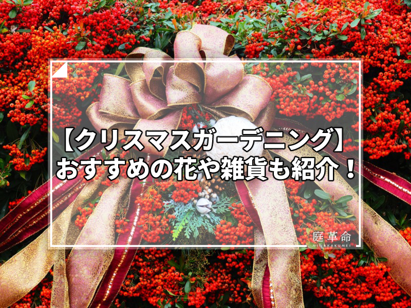 クリスマスガーデニング