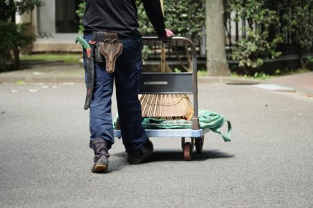 ウンベラータの剪定方法 丸坊主の仕方や育て方のポイントも徹底解説 庭革命株式会社