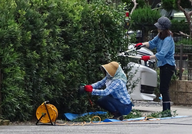 庭木の移植に必要な費用は 相場や作業手順も徹底解説 庭革命株式会社