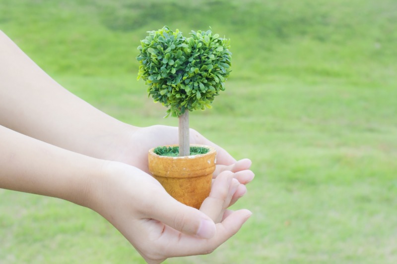 植栽
