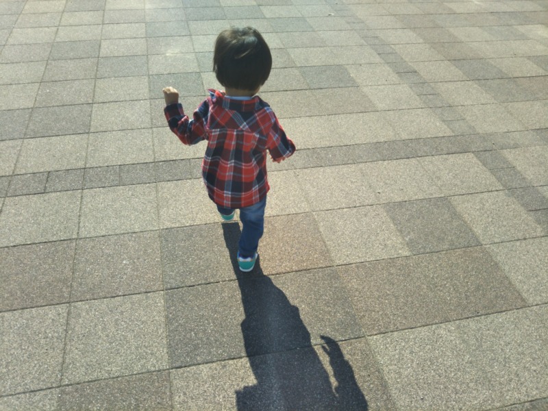 子どもの飛び出し