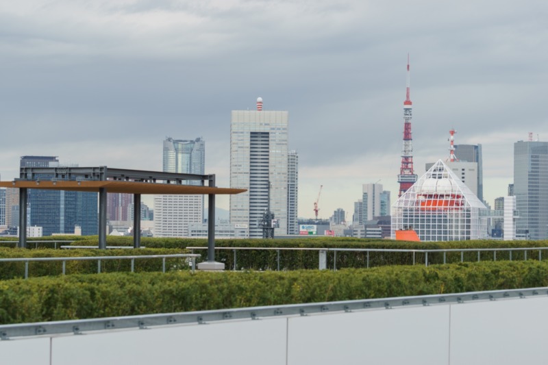 屋上緑化