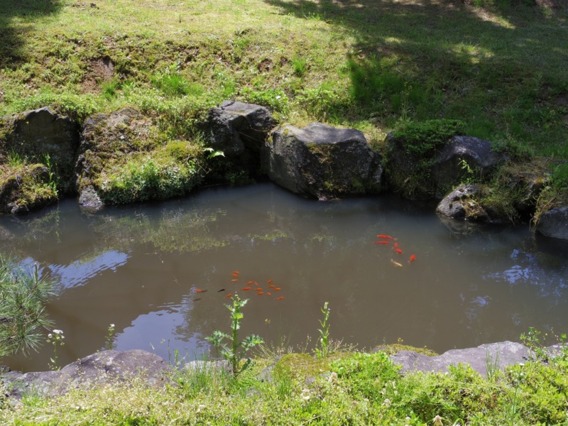 庭に池を作る費用 池を作るメリットやデメリット年間維持費にはいくらかかるかも解説 庭革命株式会社