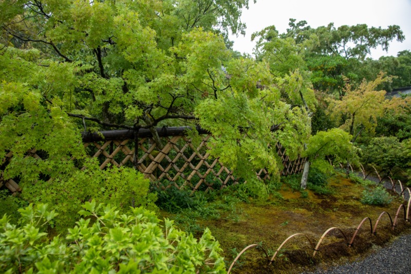 竹垣の設置費用 建仁寺垣やプラスチック竹垣の価格も紹介 庭革命株式会社