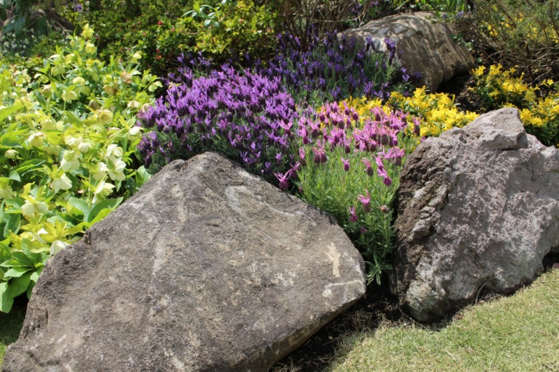 ロックガーデンの作り方 石や植物の選び方も紹介 庭革命