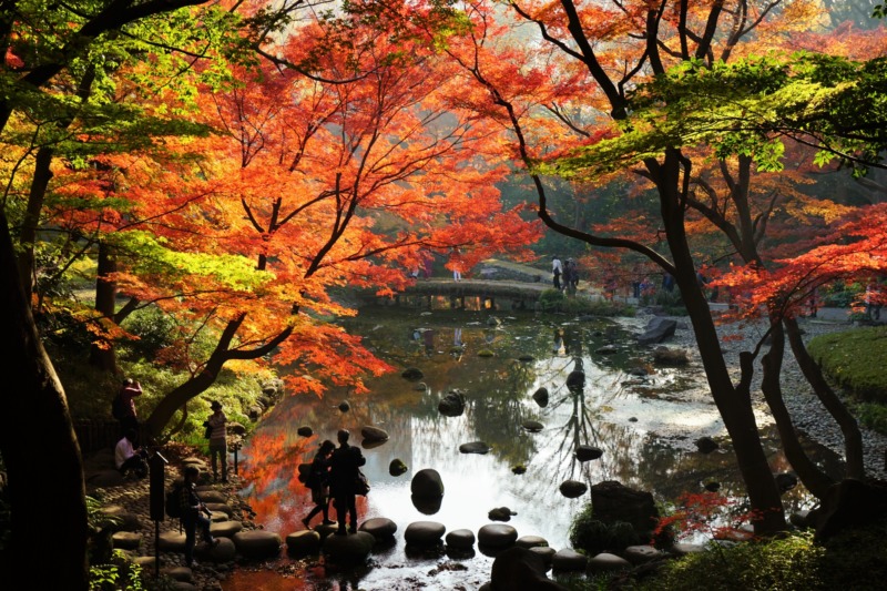 紅葉