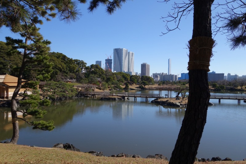 浜離宮恩賜庭園 江戸 明治の歴史を色濃く残す人気デートスポット 庭革命株式会社