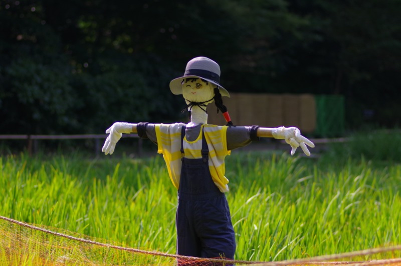 田園とかかし