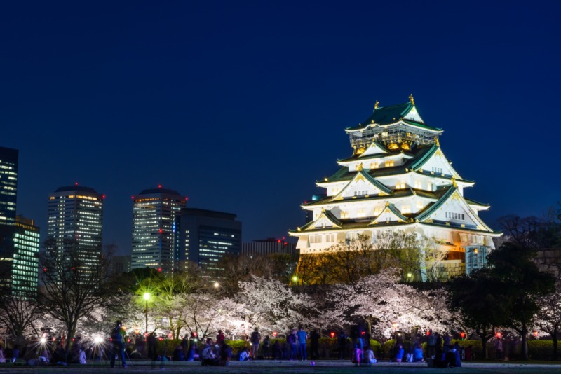 観桜ナイター