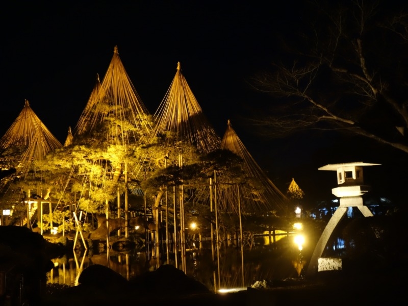唐崎松