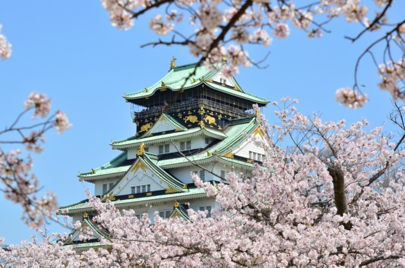 大阪城の桜