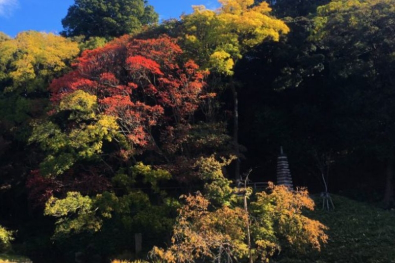 十三重の塔