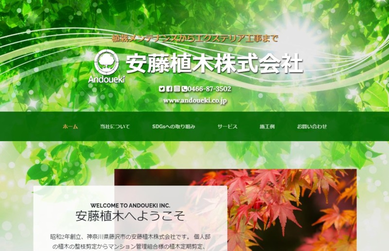 安藤植木