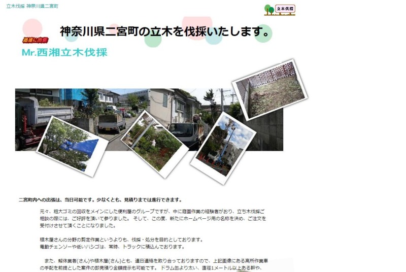 Mr.西湘立木伐採