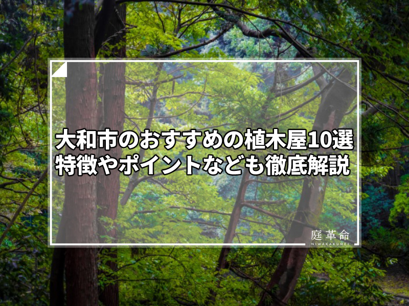 大和市泉の森公園の森林