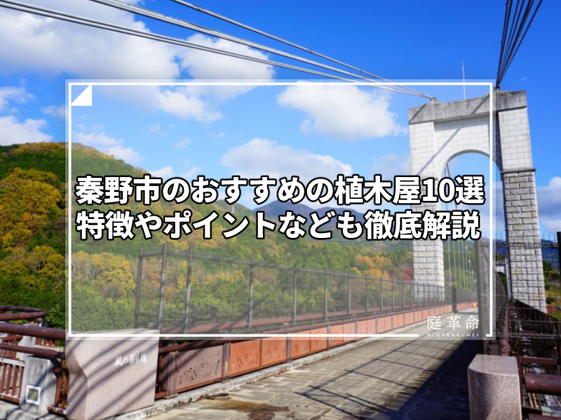秦野戸川公園の風の吊り橋と色づいた丹沢の山