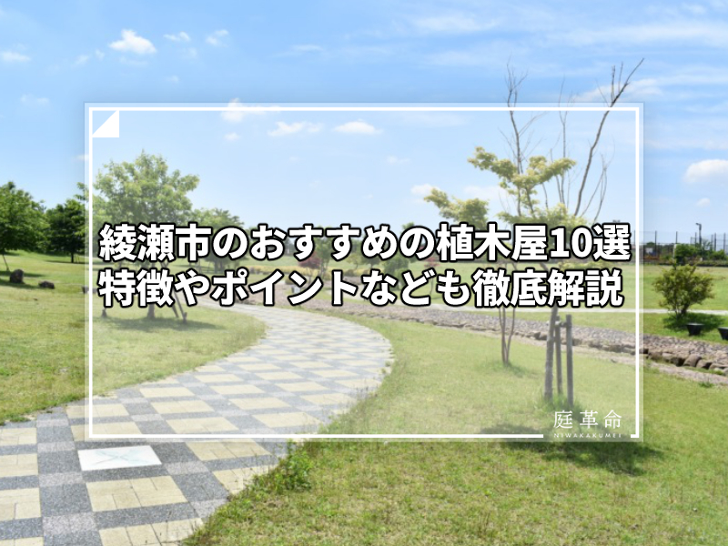 綾瀬市スポーツ公園