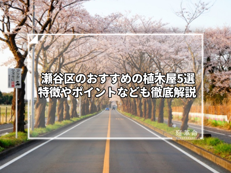 道路
