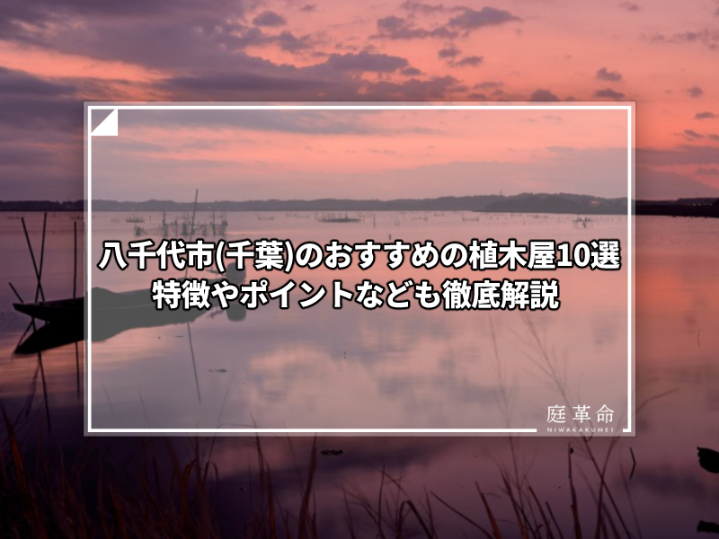 八千代市 千葉 のおすすめの植木屋10選 特徴やポイントなども徹底解説 庭革命株式会社