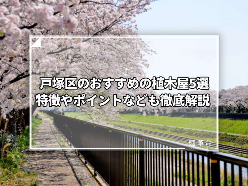 戸塚区柏尾川堤防