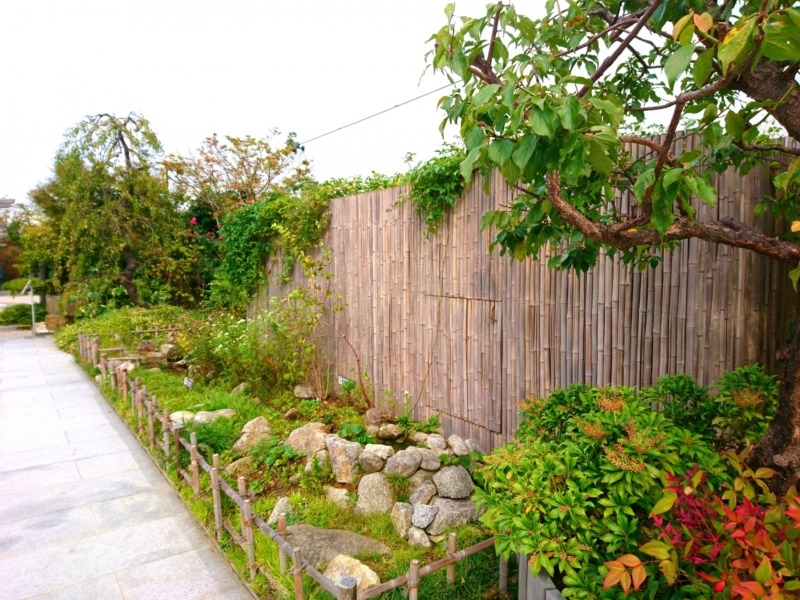 屋上緑化