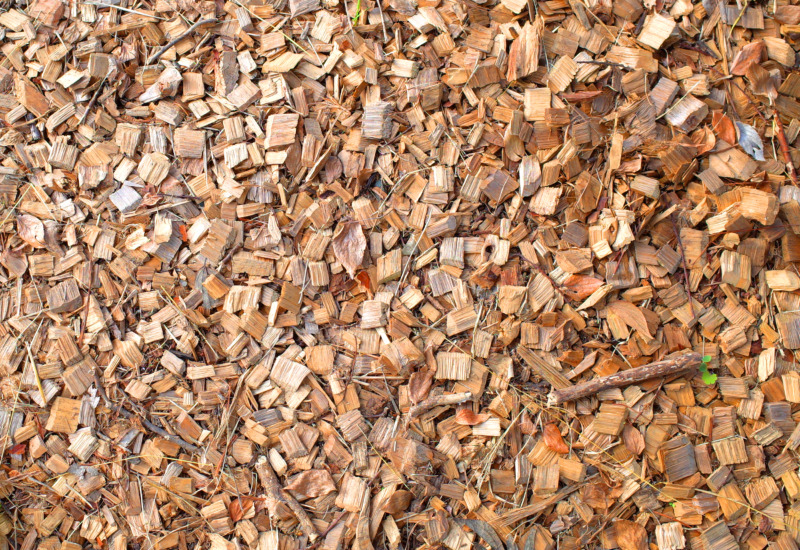 ウッドチップ