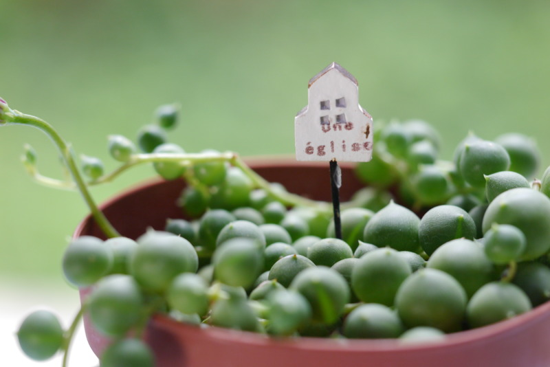 ガーデンピック