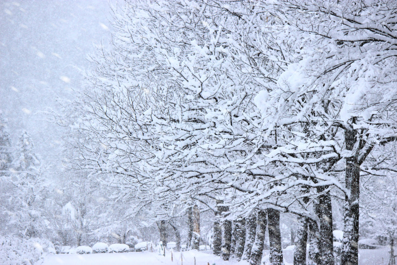 雪