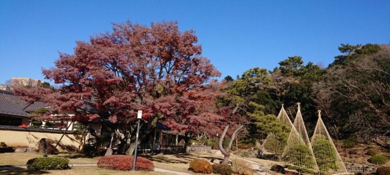 細川庭園