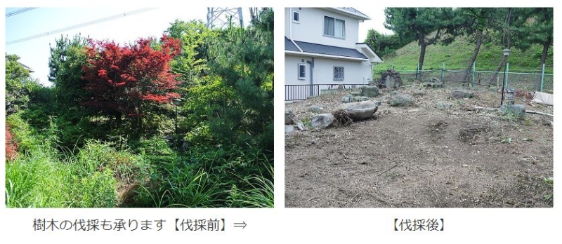 伐採工事
