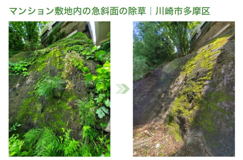 急斜面の除草