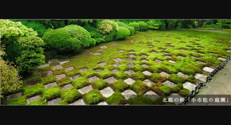 北庭の市松模様