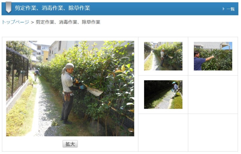 剪定作業、消毒作業、除草作業