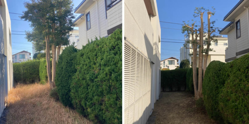 剪定・除草作業