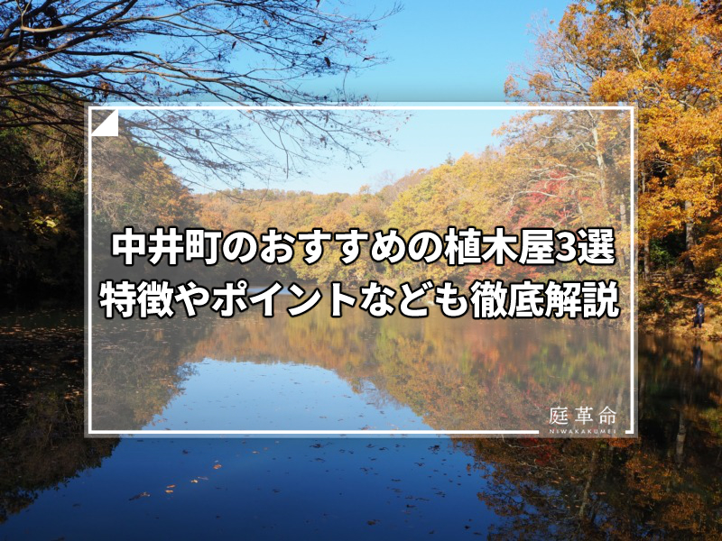 中井町・震生湖