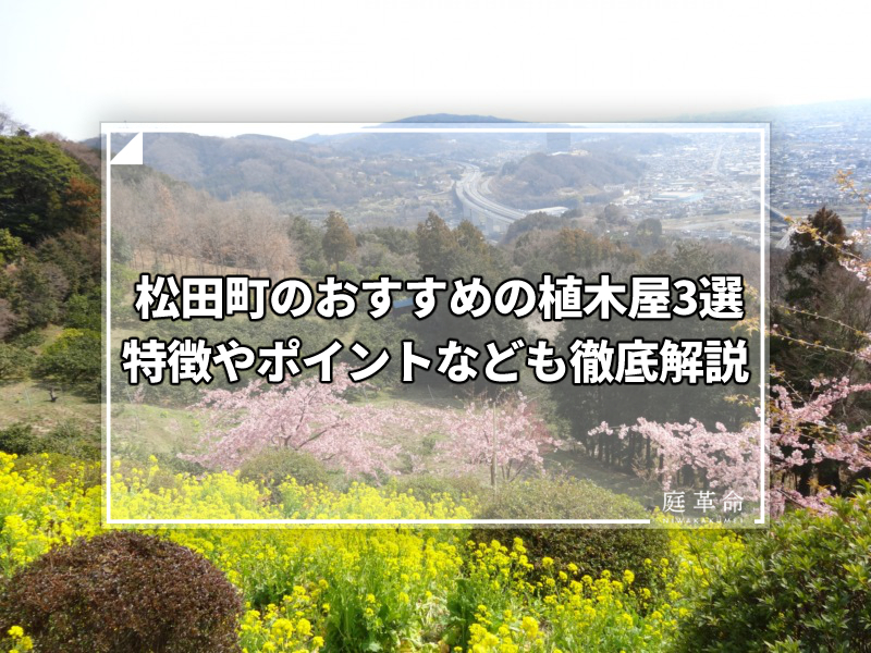 松田町・西平畑公園