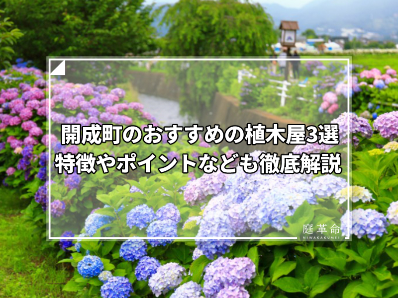 神奈川県 開成町のおすすめの植木屋4選 剪定 植栽で迷っている人へ 庭革命株式会社