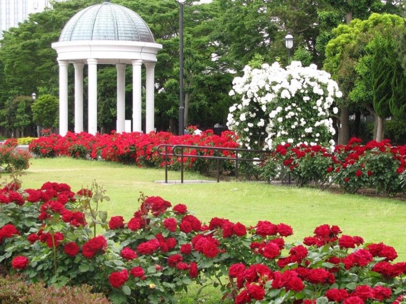熊山英国庭園 バラに覆われたガゼボが豪華 小学校跡地を利用して作られた本格的なイギリス式庭園 熊山英国庭園 をご紹介 庭革命株式会社
