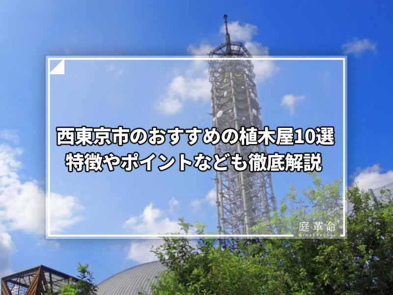 スカイタワー西東京
