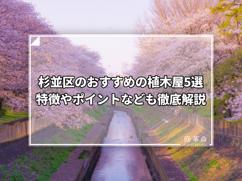 東京都 杉並区のおすすめの植木屋6選 剪定のやり方で迷っている人必見 庭革命株式会社