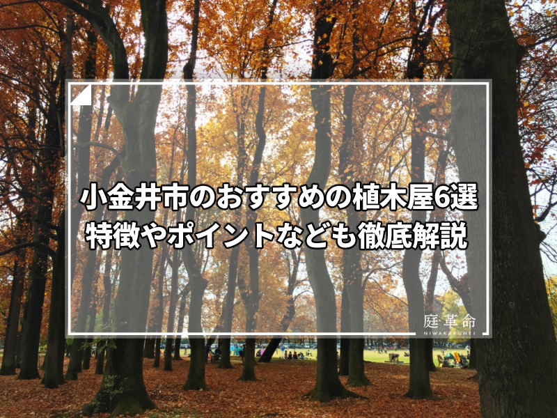 秋の小金井公園