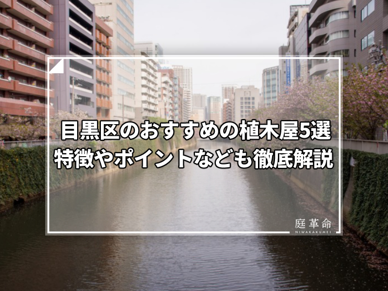 東京都 目黒区のおすすめの植木屋6選 剪定のやり方で迷っている人必見 庭革命株式会社