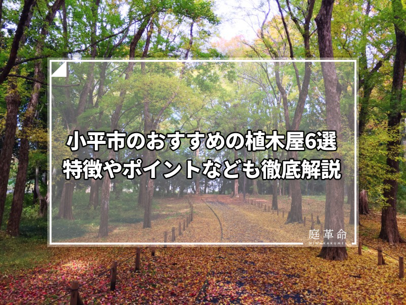 小平市・小平中央公園